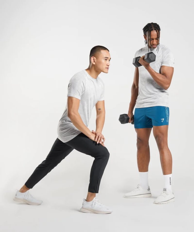 Koszulki Gymshark Geo Seamless Męskie Głęboka Szare | PL 513GIC